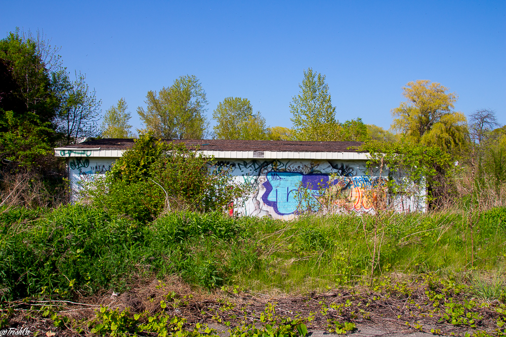 graffiti building Prudhomme's Landing Inn and  Water Park Wet 'N' Wild 